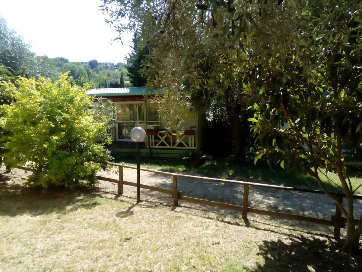Villaggio Turistico Camping Il Fontino Scarlino Eksteriør billede