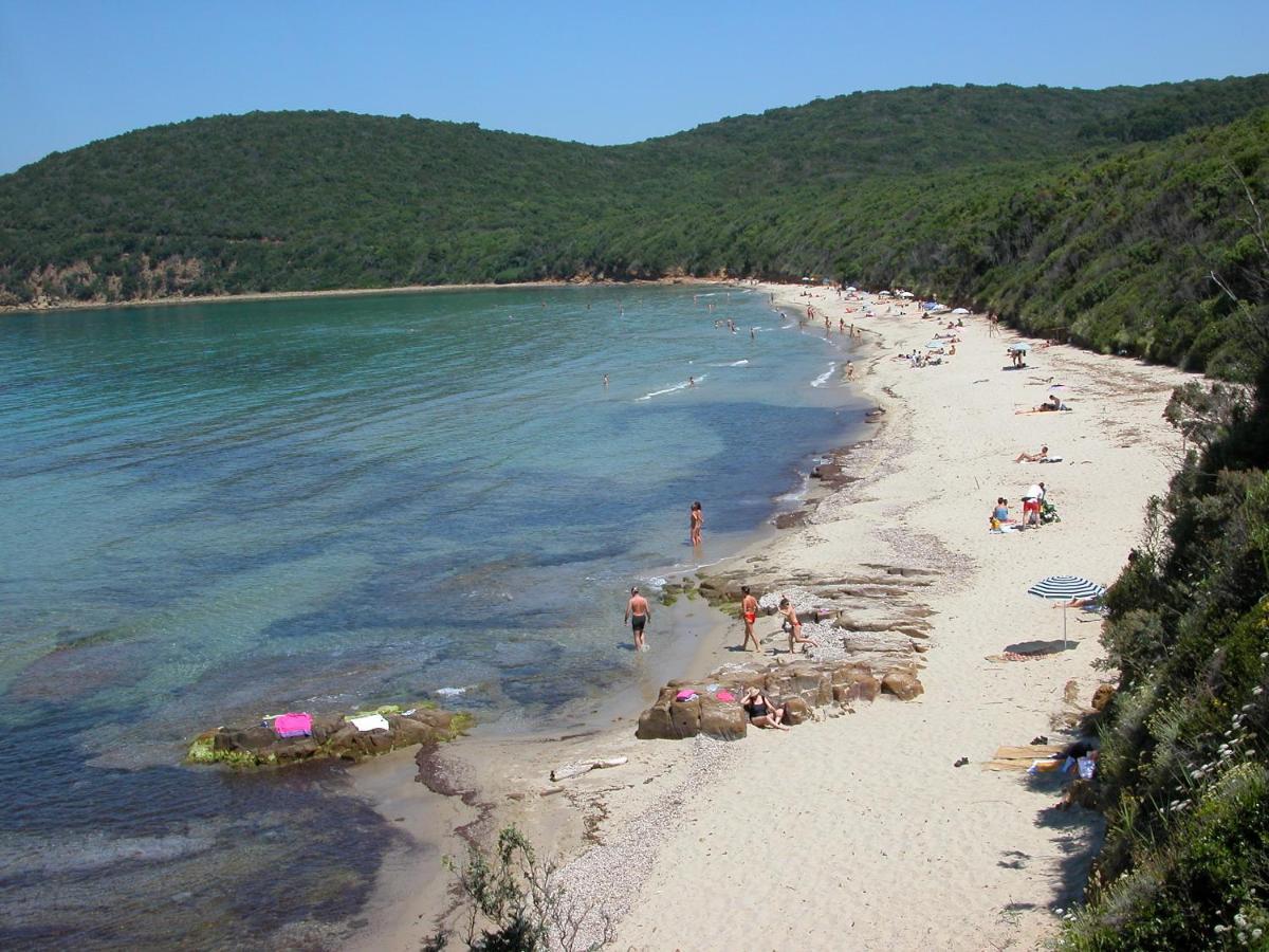 Villaggio Turistico Camping Il Fontino Scarlino Eksteriør billede