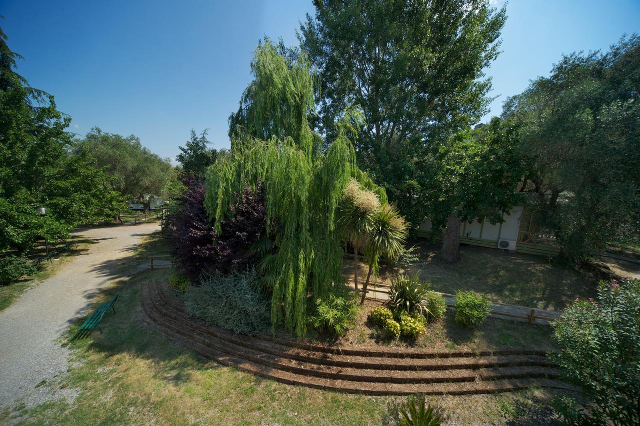 Villaggio Turistico Camping Il Fontino Scarlino Eksteriør billede