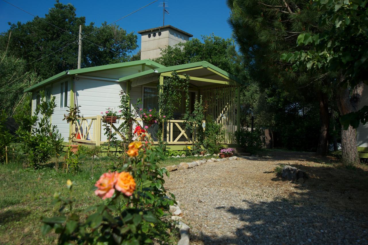 Villaggio Turistico Camping Il Fontino Scarlino Eksteriør billede